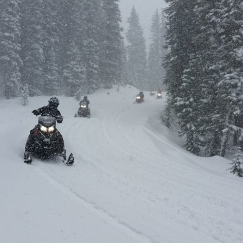 Snowmobiles on a snowy trail with snow falling surrounded by pine tress