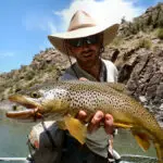 Black Canyon Anglers man in a white hat holding a spotted trout fish with a rugged canyon wall in the background