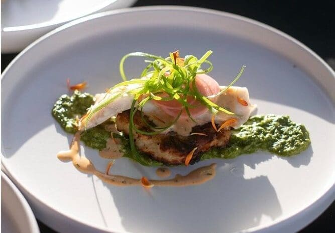 High level cuisine on a crisp white plate