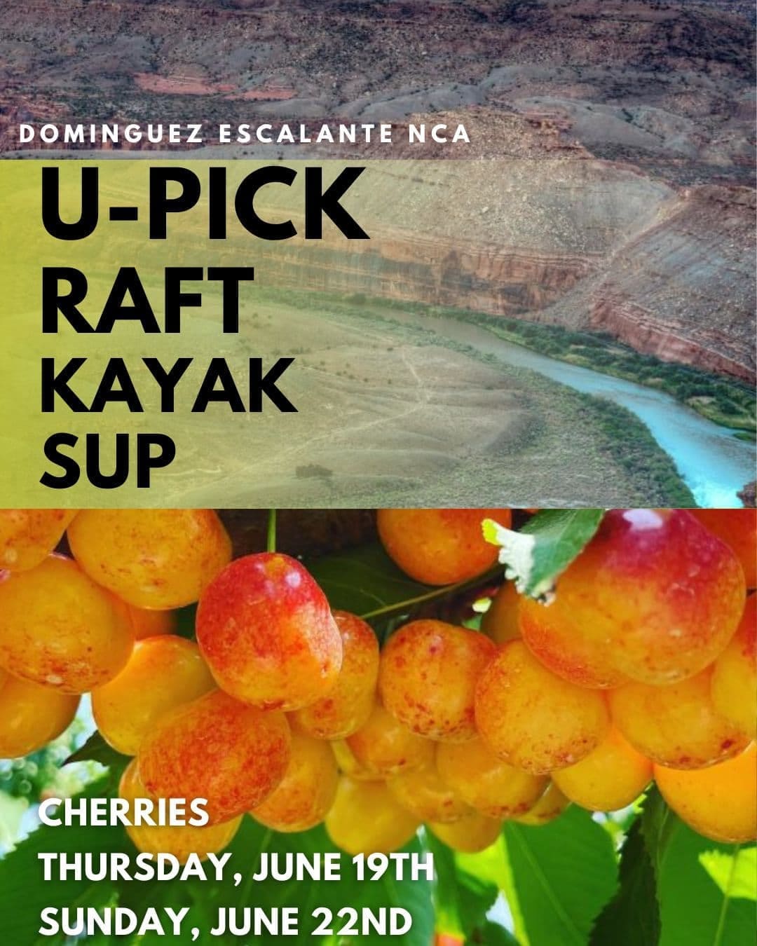 Dominguez Escalante NCA, U Pick Raft Kayak SUP, Cherries June 19th and June 22