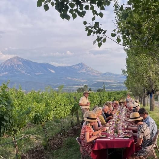 group eating at a vineyard table under a tree