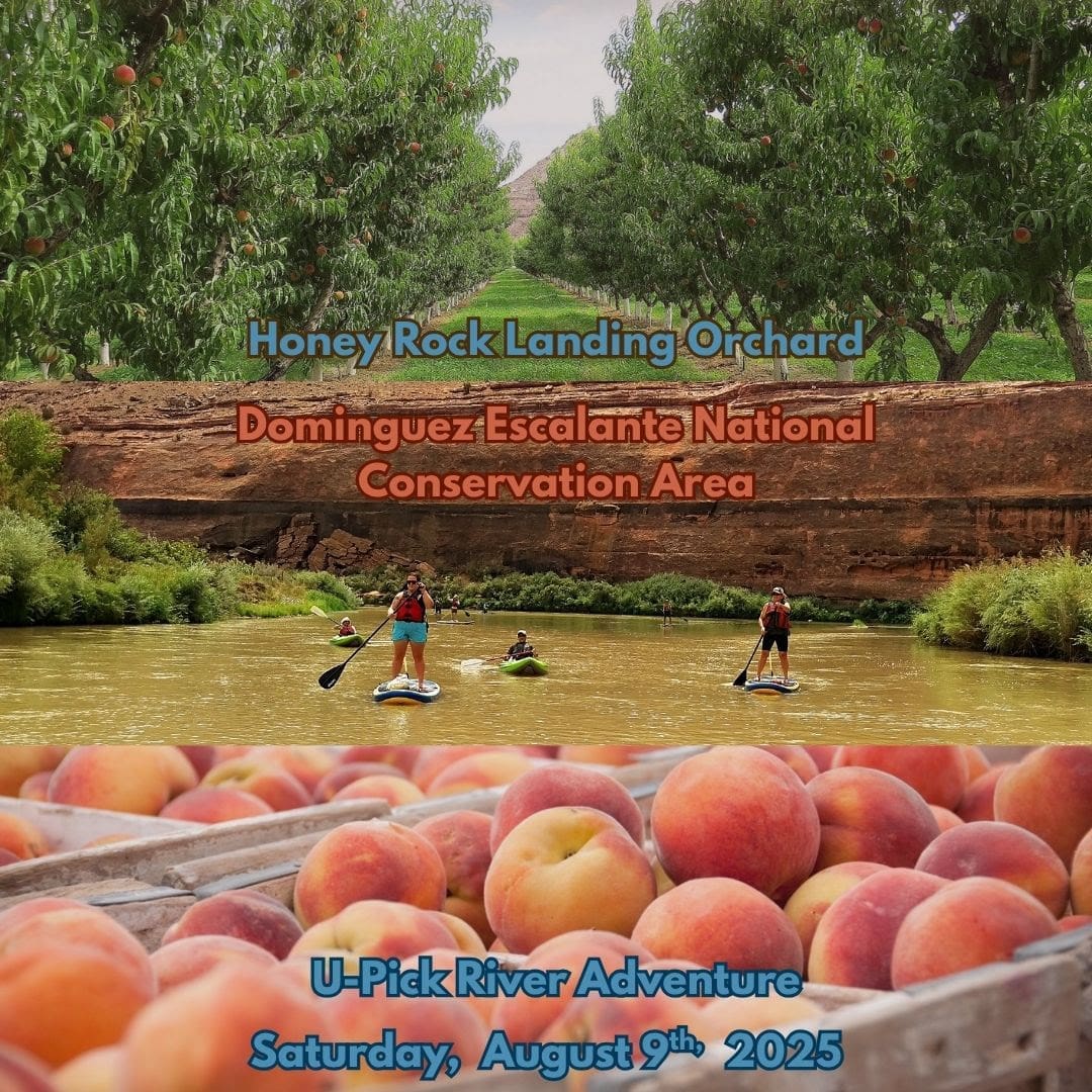 Peaches and a group paddle boarding on a lazy river bend . See adjacent text for details.