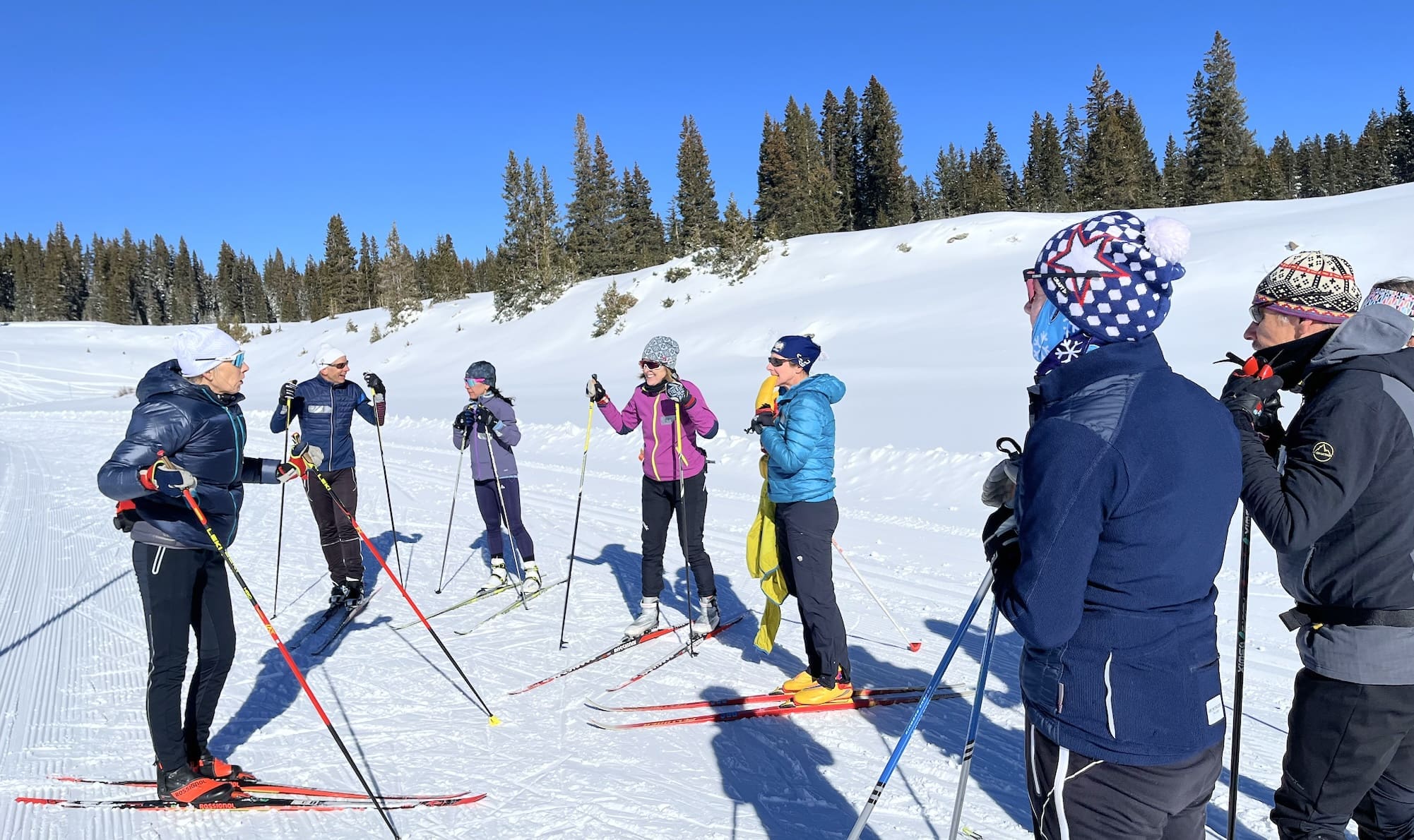 Group of skiers in a class on a wintery mountain