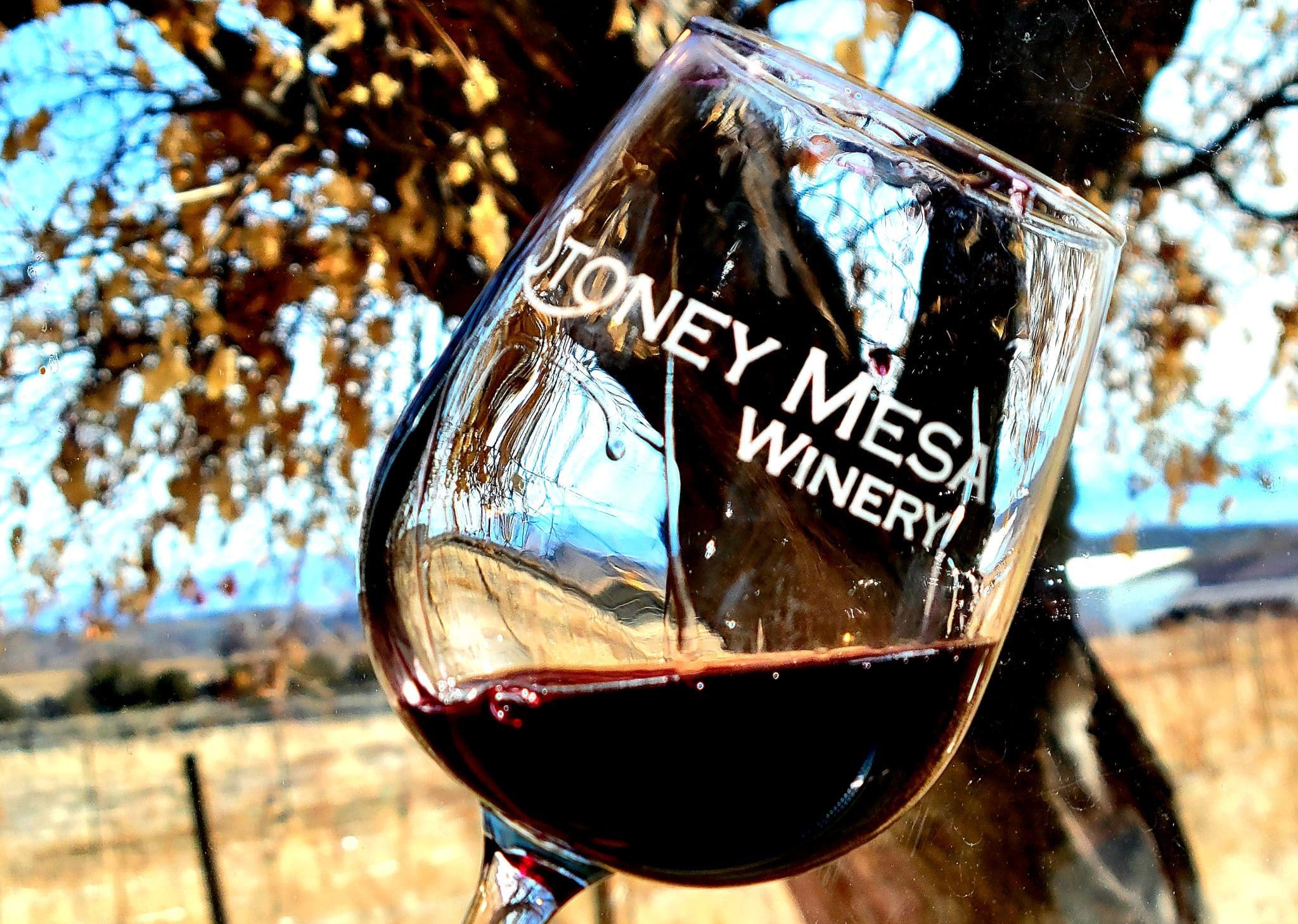 Stoney mesa "A glass of red wine with 'Stoney Mesa Winery' printed on it, held outdoors with a blurred autumn tree and landscape in the background."