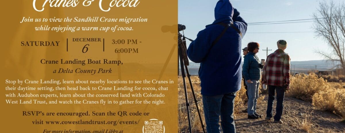 Colorado West Land Trust flier for the "Cranes & Cocoa" event. The flier is split vertically. The left side has event text: "You are invited to Cranes & Cocoa. Join us to view the Sandhill Crane migration while enjoying a warm cup of cocoa. Saturday, December 6 | 3:00 PM - 6:00 PM at the Crane Landing Boat Ramp, a Delta County Park." It provides directions to first stop at Crane Landing, then return for cocoa and evening viewing. The right side features a photograph of three people, bundled in coats and hats, standing on a dirt ridge looking out over a wide, dry landscape with scattered brush. One person is using binoculars mounted on a tripod, and all are looking toward the sky where a flock of small birds (likely cranes) is visible.