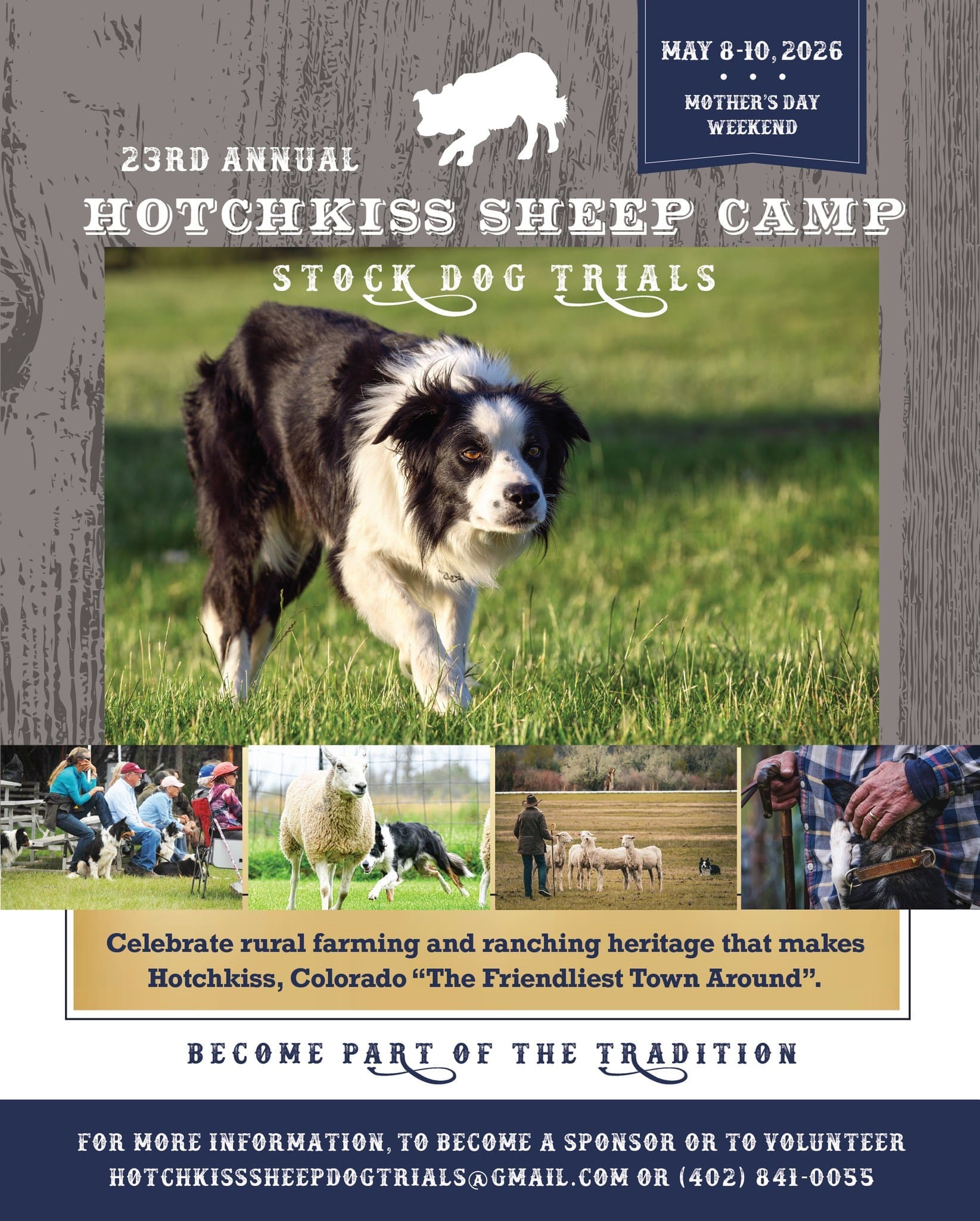 Promotional flier for the 23rd Annual Hotchkiss Sheep Camp Stock Dog Trials. A large image of a black and white Border Collie working in a green field is featured. The text confirms the event dates as May 8-10, 2026 (Mother's Day Weekend). The event celebrates rural farming and ranching heritage. For information on sponsoring or volunteering, the email is hotchkisssheepdogtrials@gmail.com or call (402) 841-0055.