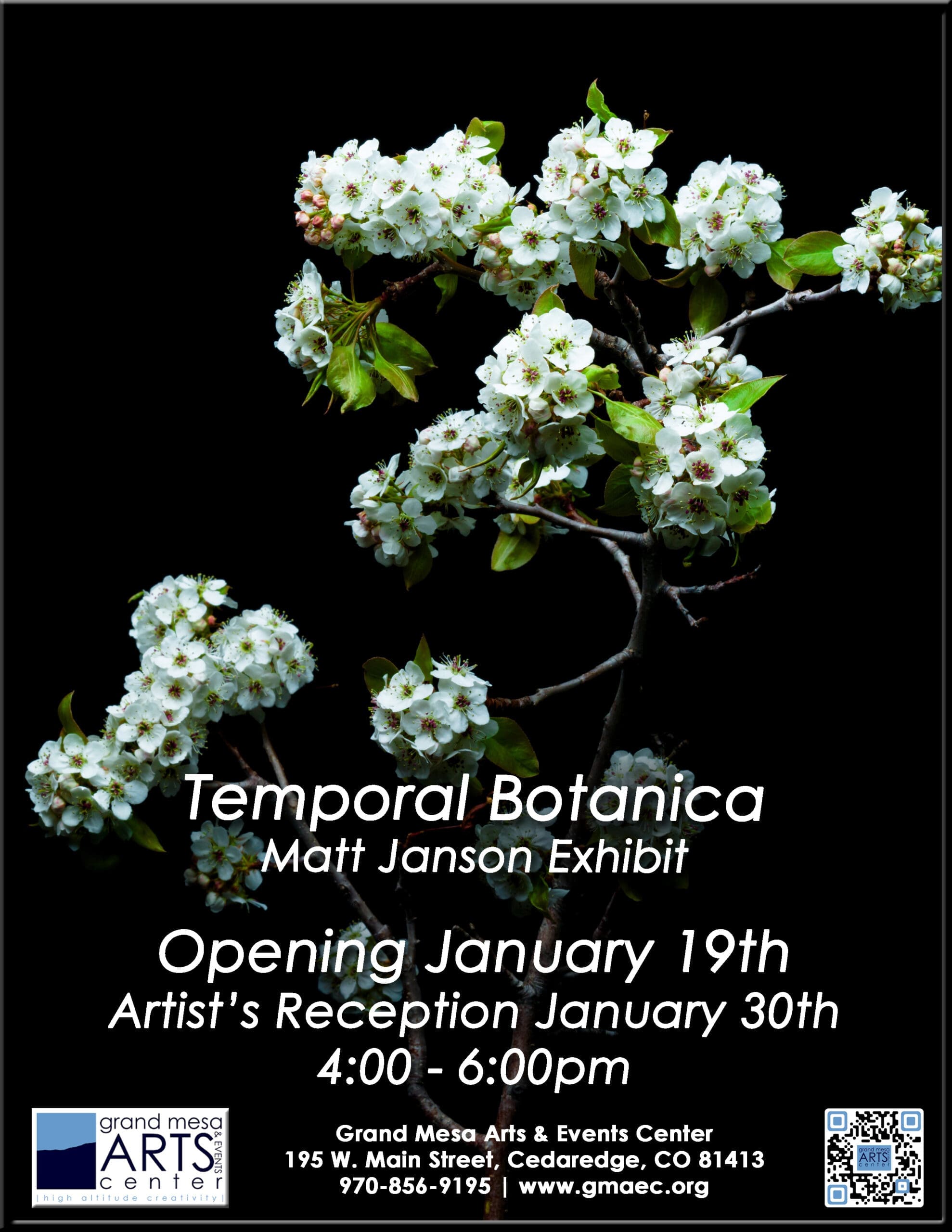 Event flyer for the "Temporal Botanica" Matt Janson Exhibit at the Grand Mesa Arts & Events Center. The background is solid black, featuring a vibrant, high-contrast photograph of delicate white blossoms on dark branches with green leaves. White text reads: "Temporal Botanica, Matt Janson Exhibit. Opening January 19th. Artist's Reception January 30th, 4:00 - 6:00pm." The bottom includes the Grand Mesa Arts & Events Center logo and contact information: 195 W. Main Street, Cedaredge, CO 81413, 970-856-9195, and www.gmaec.org. A QR code is in the bottom right corner.