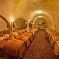 wine barrels in a golden light in a beautiful stone cellar