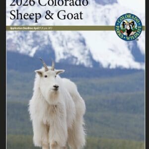 Official Document Cover: 2026 Colorado Sheep & Goat application information from Colorado Parks & Wildlife. The background features a majestic white mountain goat with long shaggy fur standing in a rocky landscape with snow-covered mountain peaks in the distance. The CPW logo is in the upper right corner, and the application deadline of April 7 at 8 p.m. MT is clearly highlighted in a horizontal bar.