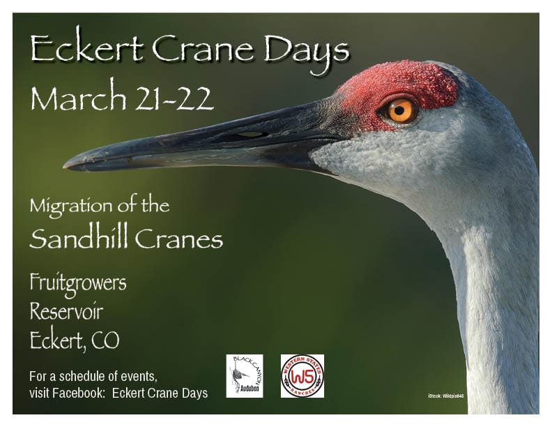 Event flyer for Eckert Crane Days 2026, March 21–22. Close-up photo of a Sandhill Crane's head with a red crown and orange eye.