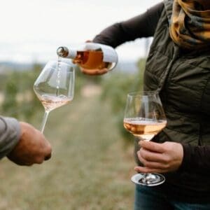 A close-up shot in a vineyard setting where a person is pouring a light-colored rosé wine from a bottle into a glass held by another person. The background shows soft, blurred rows of grapevines.