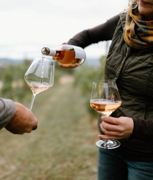 A close-up shot in a vineyard setting where a person is pouring a light-colored rosé wine from a bottle into a glass held by another person. The background shows soft, blurred rows of grapevines.