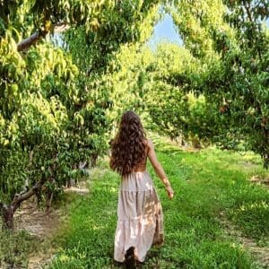 A woman with long brown hair in a flowing dress walks between two rows of peach trees on green grass